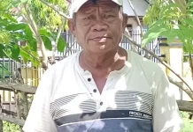 Ratusan Hektare Jagung di Buol Terancam Gagal Panen