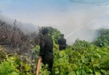 Brimob Padamkan Kebakaran Lahan di Kelurahan Nalu