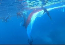 Desa Monano Dorong Pariwisata lewat Pengibaran Bendera di Bawah Laut