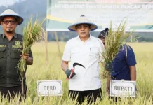 Parigi Moutong Perkuat Produksi Pangan untuk Ketahanan Nasional