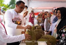Kementan Salurkan 14 Ribu Bibit Durian Bersertifikat ke Sulteng