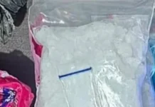 Polda Sulteng Amankan Dua Terduga Pelaku dengan 103 Gram Sabu