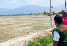Bencana Kekeringan Melanda Sejumlah Desa di Parigi Moutong