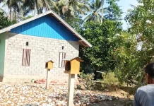 DPKP Buol Perkuat Pendataan Sawit untuk Legalitas Petani