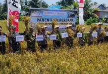Panen Padi Perdana 2026 Digelar di Desa Abajareng