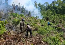 Bara di Lereng Sausu, Polisi dan Warga Berpacu Jinakkan Api