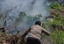 Belasan KPH di Sulteng Diperintahkan Perkuat Pencegahan Karhutla