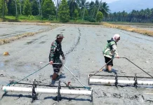 Dari Sawah Ogodopi, Semangat Ketahanan Pangan Terus Digelorakan