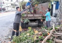 DLH Buol Pastikan Sampah Tebangan Pohon Tetap Diangkut