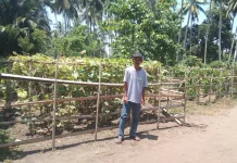 Warga Buol Manfaatkan Pekarangan untuk Ketahanan Pangan