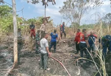 Dua Hektare Lahan Terbakar, Aparat Cegah Api Meluas di Sausu