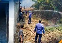 Kebakaran Lahan Sagu dan Sawah Melanda Dua Kelurahan di Buol