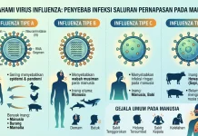 Mengenal Empat Jenis Influenza, dari Tipe A hingga D