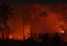 Karhutla Hanguskan Dua Hektare Lahan Kosong di Parimo