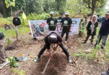 Sekolah Lapang Tingkatkan Kapasitas Petani di Ogodeide