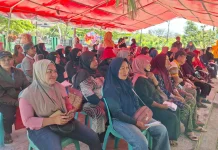 Masyarakat Tolitoli Bisa Cek Data Bansos lewat Aplikasi