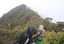 Mapala Untad Dorong Pendakian Berbasis Wisata Alam