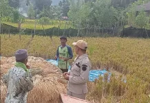 BMKG Tolitoli Imbau Warga Waspadai Potensi Kebakaran Lahan di Musim Panas