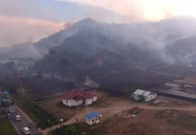 Kabut Asap Menebal, Dinkes Parigi Moutong Pantau Gangguan Pernapasan