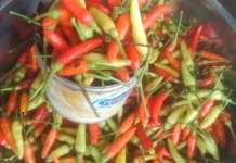 Harga Cabai Rawit di Kabupaten Buol Melonjak