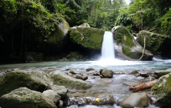 Air Terjun Malangga, Pesona Alam di tengah Hutan Tropis Kabupaten Tolitoli