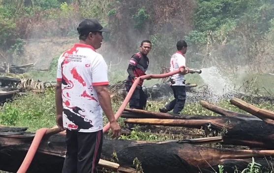 Kebakaran Lahan BUMDes Baliara, Api Berhasil Dipadamkan Petugas