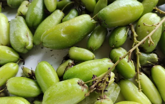 Belimbing Wuluh Alami Atasi Jerawat dan Cerahkan Kulit