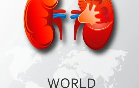 Hari Ginjal Sedunia: Kenali Penyakit Ginjal sejak Dini