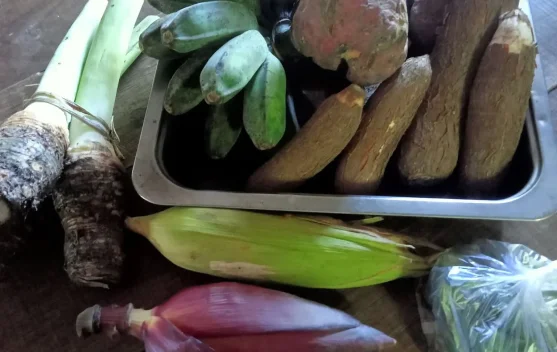 Lampasio Perkuat Produksi Jagung dan Umbi Dukung Pangan Lokal