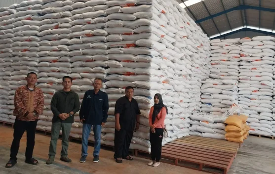 Stok Beras Tolitoli Aman Meski Dibayangi Ancaman El Nino