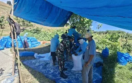 Pendampingan Petani Jagung Jadi Wujud Dukungan Ketahanan Pangan