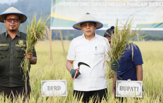 Parigi Moutong Perkuat Produksi Pangan untuk Ketahanan Nasional