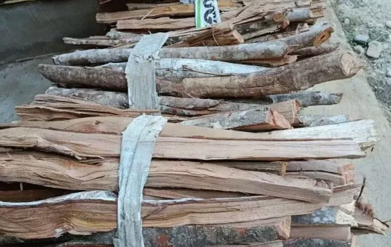 Batang Kayu Cengkeh Dimanfaatkan Jadi Kayu Bakar, Ibu Ningsi Jual Rp25 Ribu per Ikat
