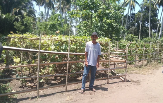 Warga Buol Manfaatkan Pekarangan untuk Ketahanan Pangan