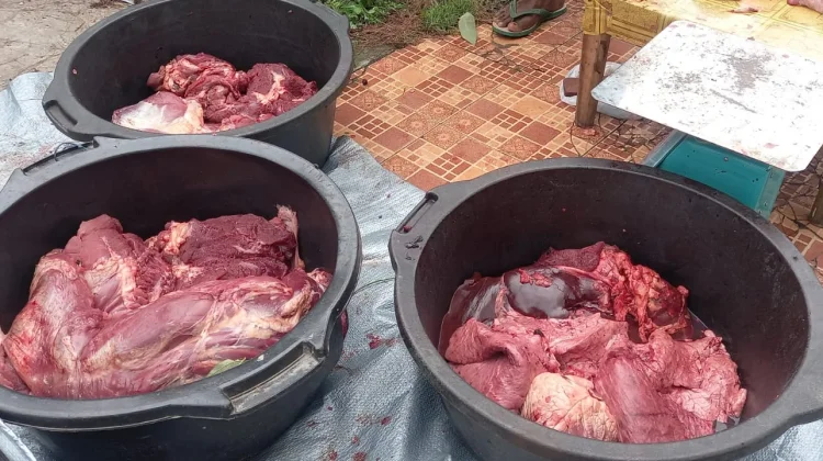 Pemerintah Tidak Beri Patokan pada Harga Daging