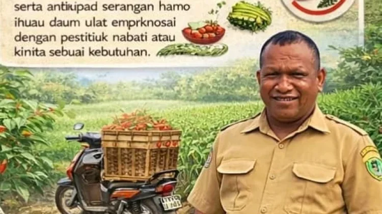 Panduan Sukses Budidaya Cabe Rawit Bagi Petani