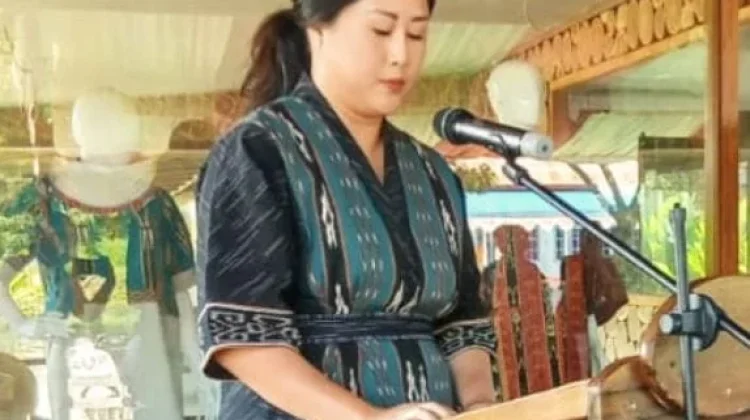 Potensi Kerajinan Ditanimbar Sangat Besar Dan Memiliki Nilai Budaya