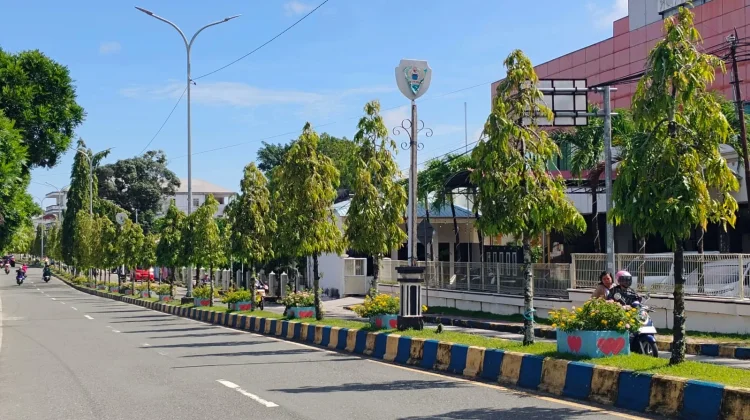 Inovasi DLH Malra Percantik Ruang Terbuka Kota Langgur