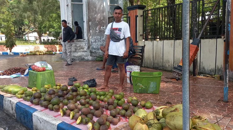 Buah Alpukat Tinggi Peminat di Bulan Ramadhan