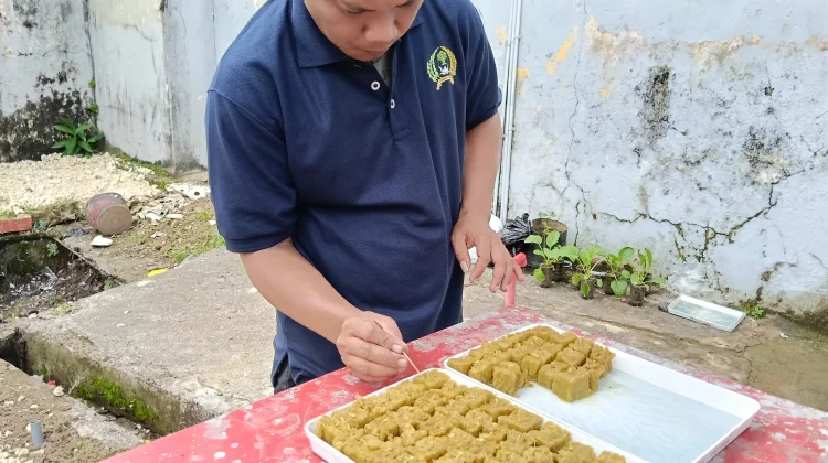 Lapas Tual Kembangkan Hidroponik untuk Ketahanan Pangan