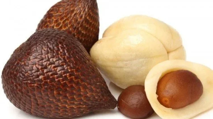 Buah Salak, Manfaat pada Kesehatan Tubuh