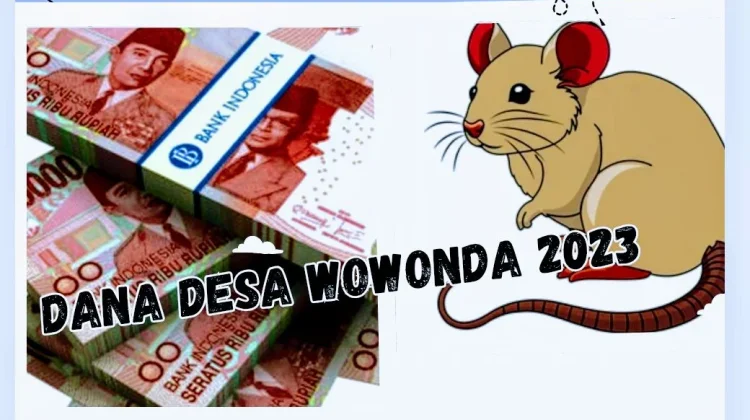DD Wowonda Terindikasi Raib Dihabiskan Fiktif tanpa Jejak