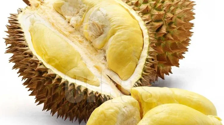 Durian dan Manfaatnya, Siapa yang Belum Tahu?