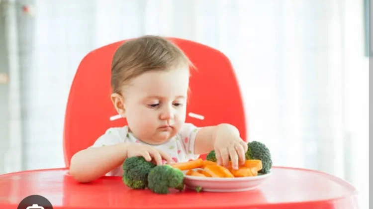 Panduan Nutrisi Bayi 9 Bulan