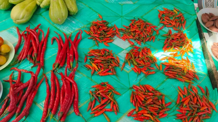 Cabai Ambon Kosong, Harga Cabai Lokal di Pasar Langgur Melonjak