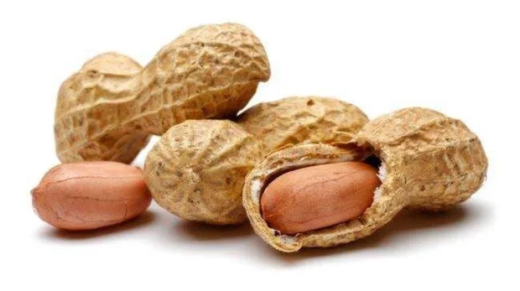 Kacang Tanah, Memiliki Manfaat pada Kesehatan Tubuh