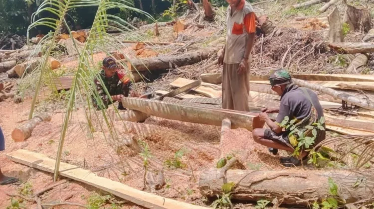 Babinsa Koramil 1503-02/Elat Bantu Warga Ohoi Renfaan GPM Bangun Rumah