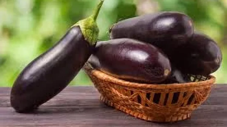 Manfaatnya Terong untuk Kesehatan