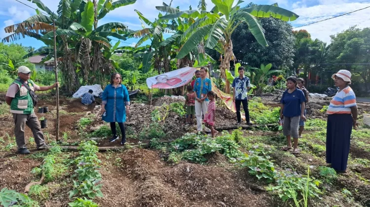 Kehadiran Penyuluh Pertanian, Upaya Mendorong Ketahanan Pangan