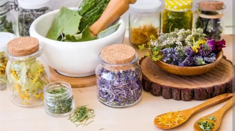 Ahli Ingatkan Pentingnya Aturan Pakai Tanaman Obat